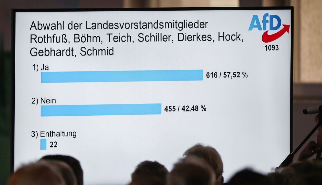 Landesparteitag AfD Bayern Landesparteitag AfD Bayern