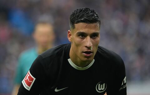 Hamburger SV - VfL Wolfsburg