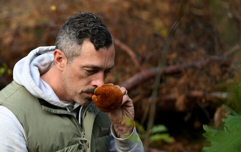 Mit einem Pilz-Influencer in den Pilzen Mit einem Pilz-Influencer in den Pilzen