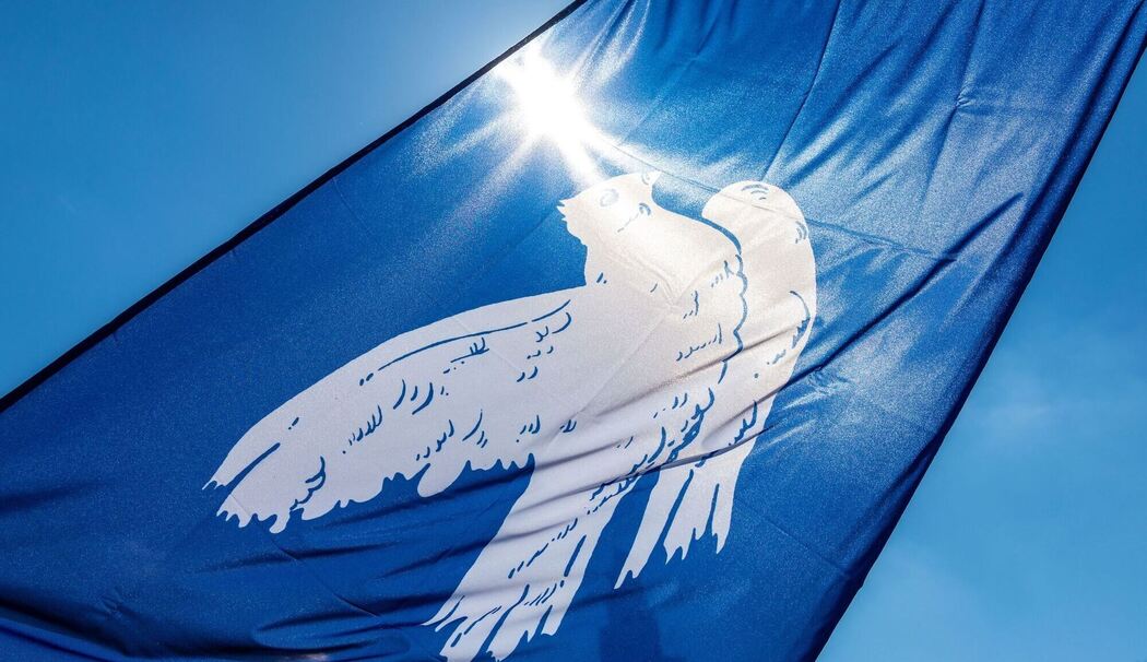 Fahne mit einer Friedenstaube