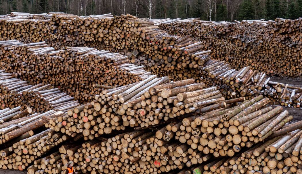 Sägewerk Ziegler Group