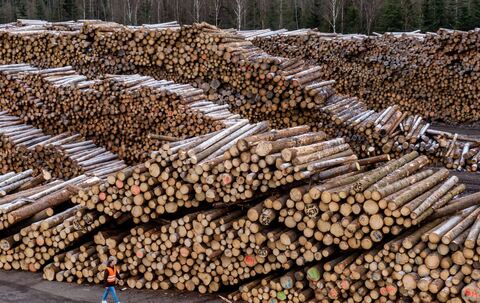 Sägewerk Ziegler Group