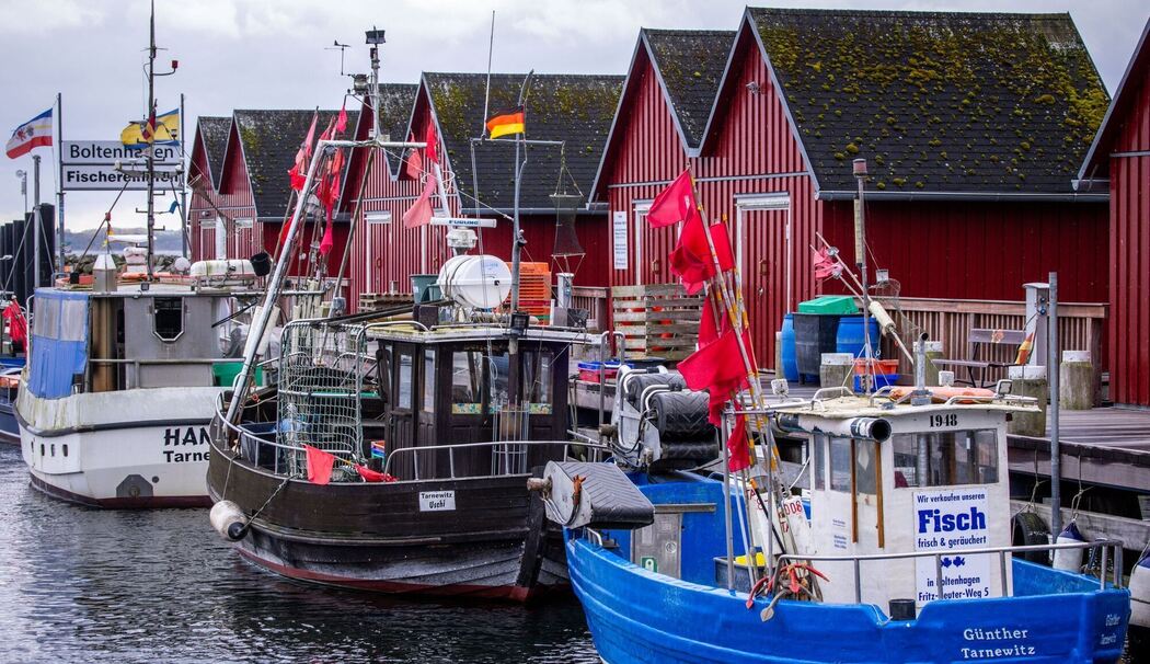 Vor dem Treffen zu neuen Fischfangmengen Vor dem Treffen zu neuen Fischfangmengen