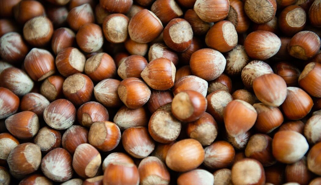 Haselnüsse