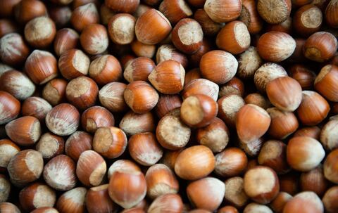 Haselnüsse
