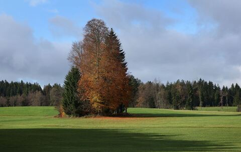 Wetter in Bayern Wetter in Bayern