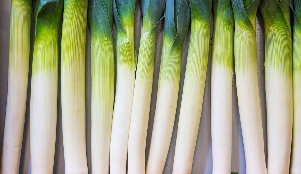 Lauchstangen liegen in ener Kiste Lauchstangen liegen in ener Kiste