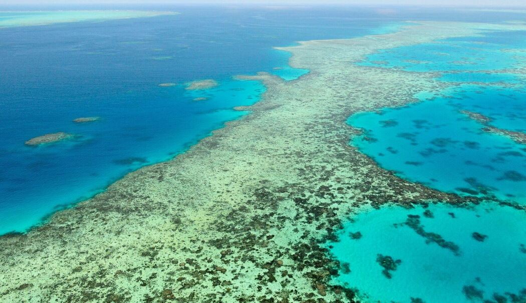 Great Barrier Reef in Australien Great Barrier Reef in Australien