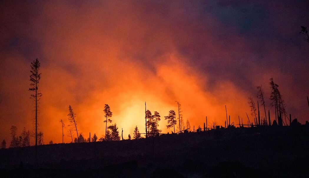 Symbolbild Waldbrand Symbolbild Waldbrand