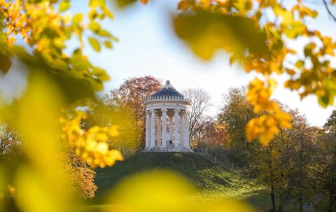 Englischer Garten im Morgenlicht