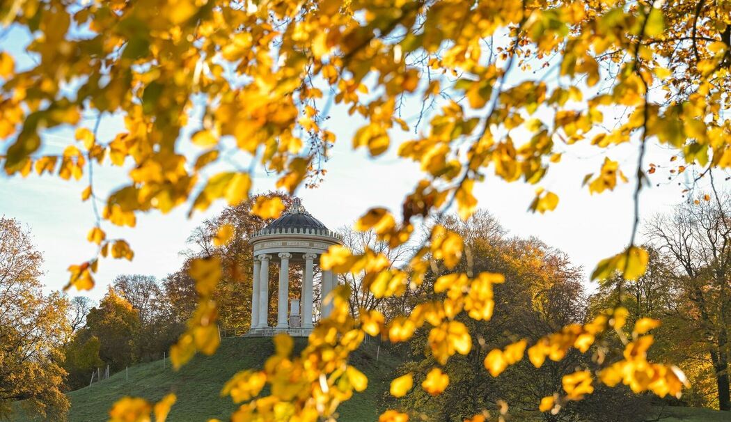 Englischer Garten im Morgenlicht Englischer Garten im Morgenlicht