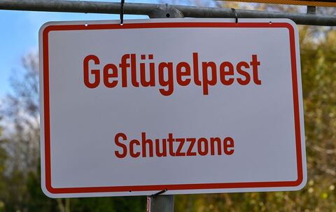 Geflügelpest