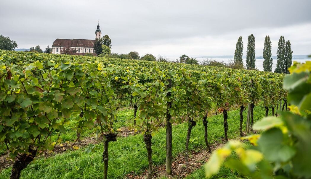 Wetter in Baden-Württemberg