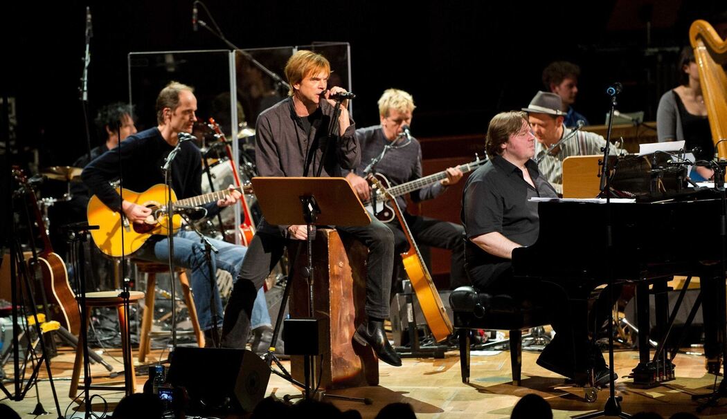 Konzert der Toten Hosen