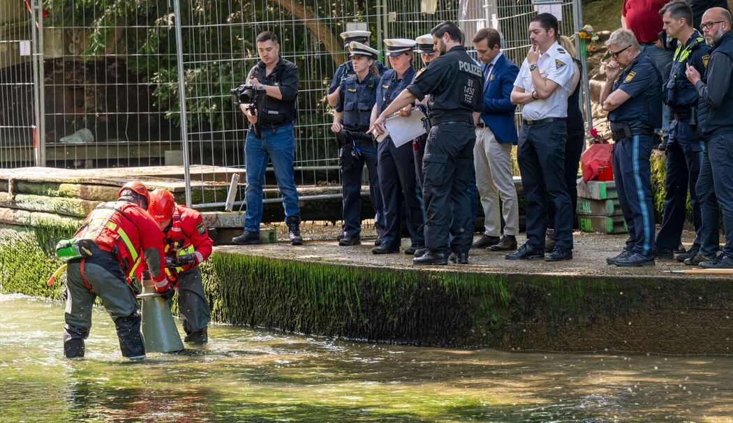 Eisbachwelle Eisbachwelle