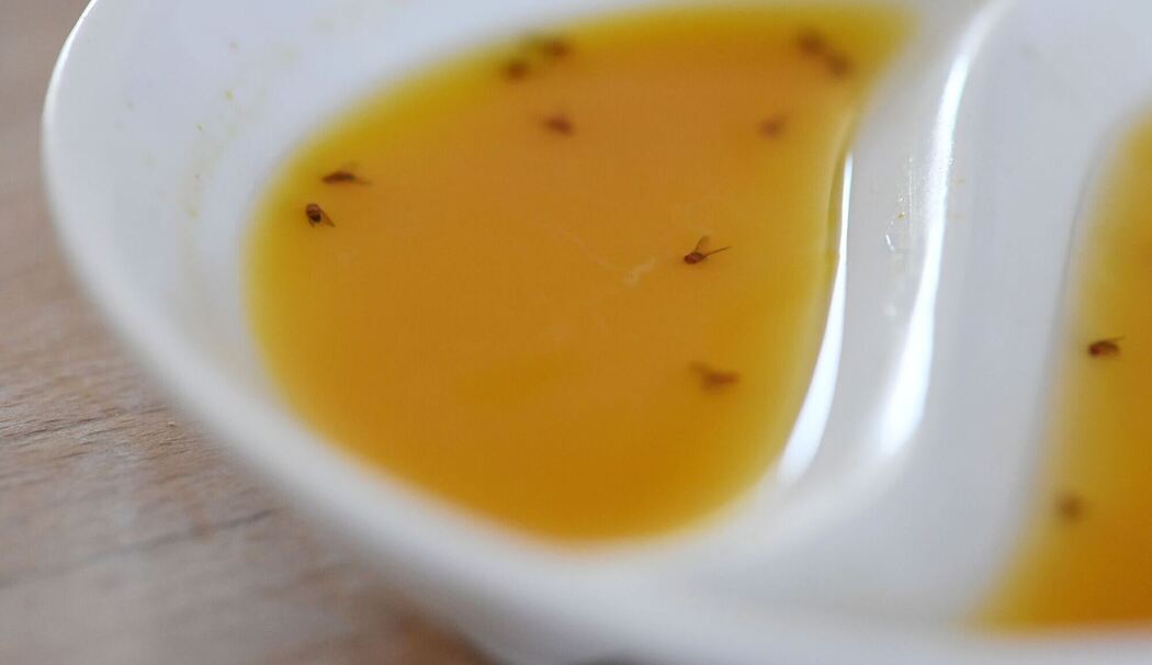 Fruchtfliegen liegen in einer Mixtur Fruchtfliegen liegen in einer Mixtur