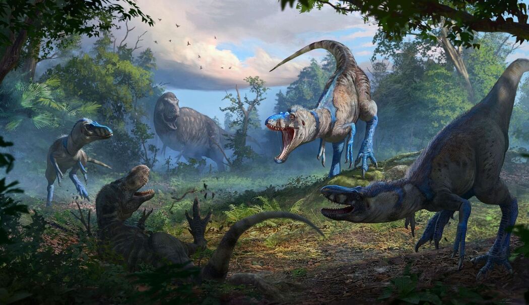 Rätsel um Tyrannosaurus rex gelöst Rätsel um Tyrannosaurus rex gelöst