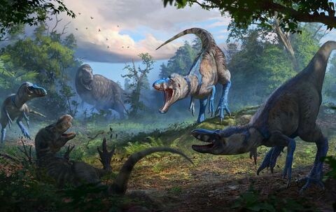 Rätsel um Tyrannosaurus rex gelöst