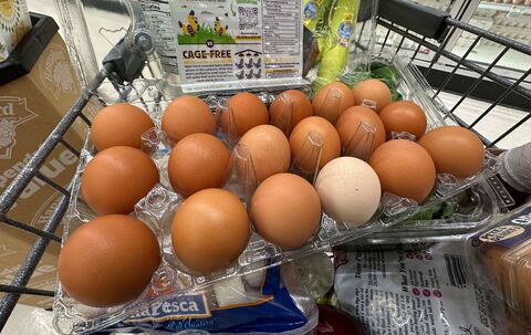 Hohe Eierpreise in den USA Hohe Eierpreise in den USA