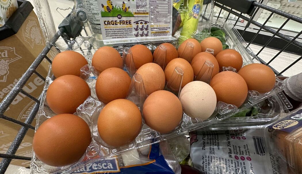 Hohe Eierpreise in den USA Hohe Eierpreise in den USA