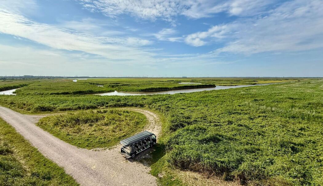 E-Mobil am Fuße des Aussichtsturms im Oostvaardersplassen