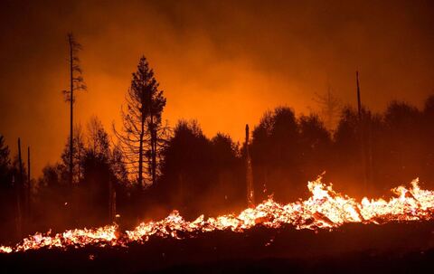 Waldbrand in Thüringen