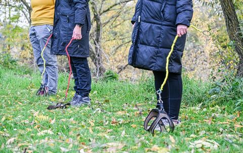 Hobby-Dogging - ein  neuer Trend
