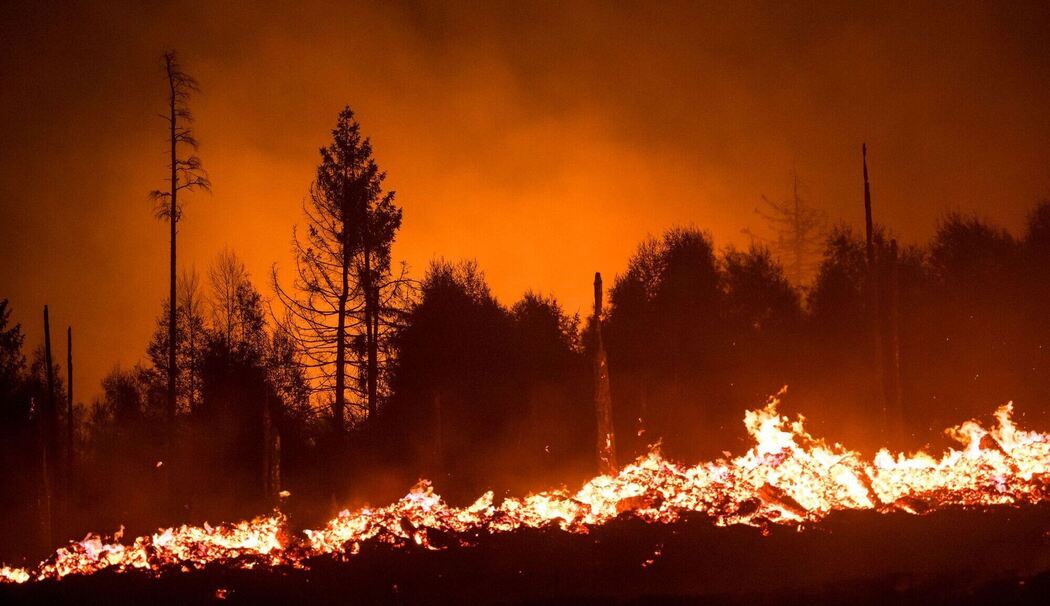 Waldbrand in Thüringen