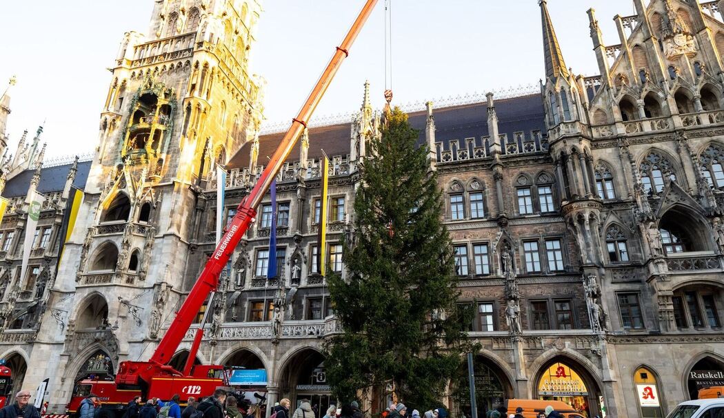 Christbaum auf dem Marienplatz Christbaum auf dem Marienplatz