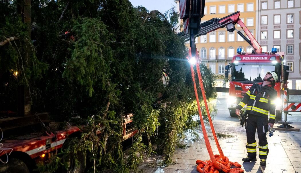 Christbaum auf dem Marienplatz Christbaum auf dem Marienplatz