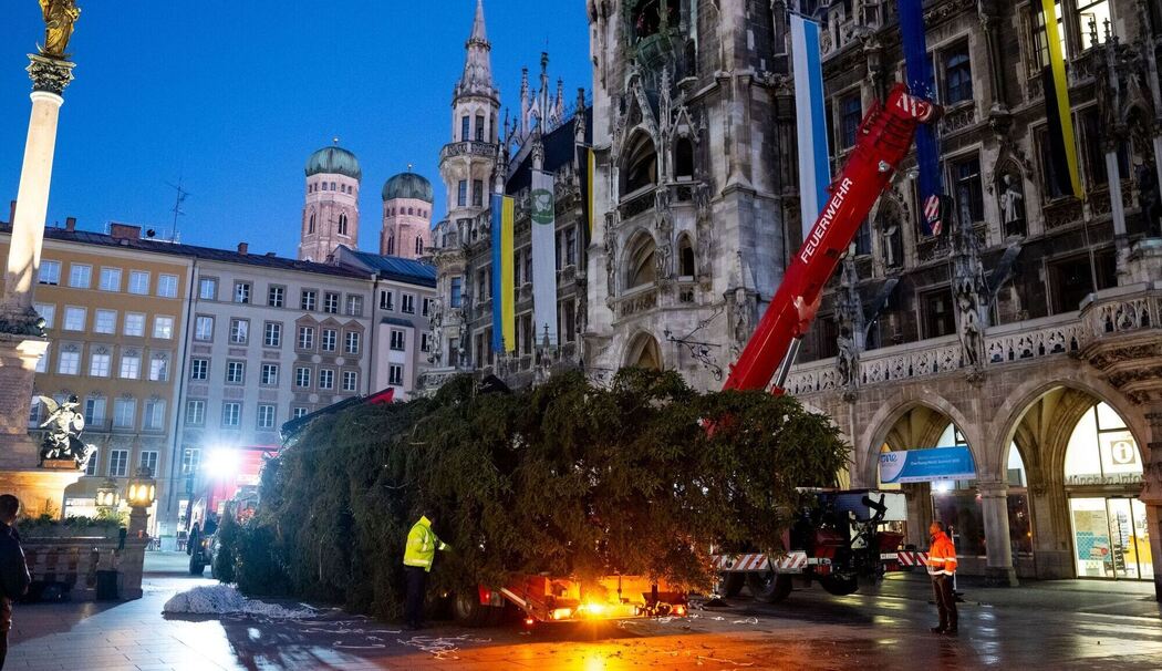 Christbaum auf dem Marienplatz Christbaum auf dem Marienplatz