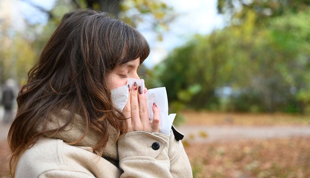 Erkältungszeit in Deutschland Erkältungszeit in Deutschland