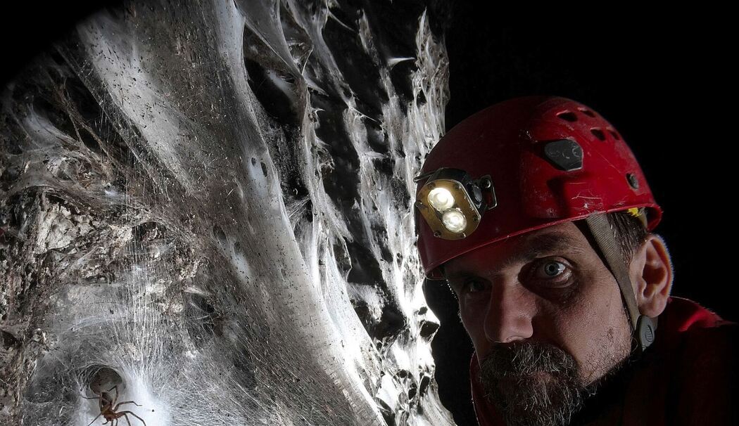 Griechenland: Spinnennetz in Höhle entdeckt Griechenland: Spinnennetz in Höhle entdeckt