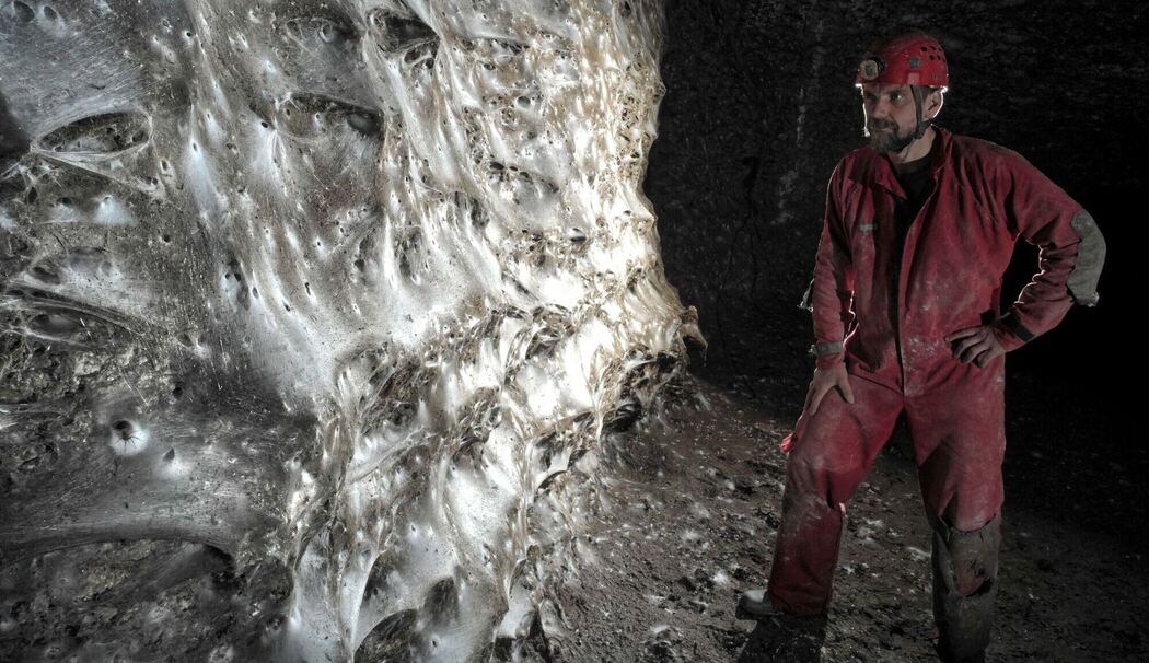 Griechenland: Spinnennetz in Höhle entdeckt