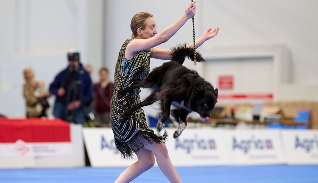 Meisterschaft im Dog Dancing auf Messe «Hund & Pferd»