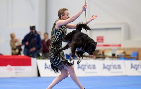 Meisterschaft im Dog Dancing auf Messe «Hund &amp; Pferd»