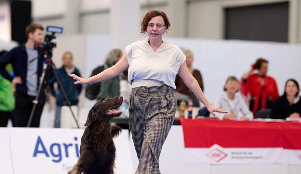 Meisterschaft im Dog Dancing auf Messe «Hund & Pferd»