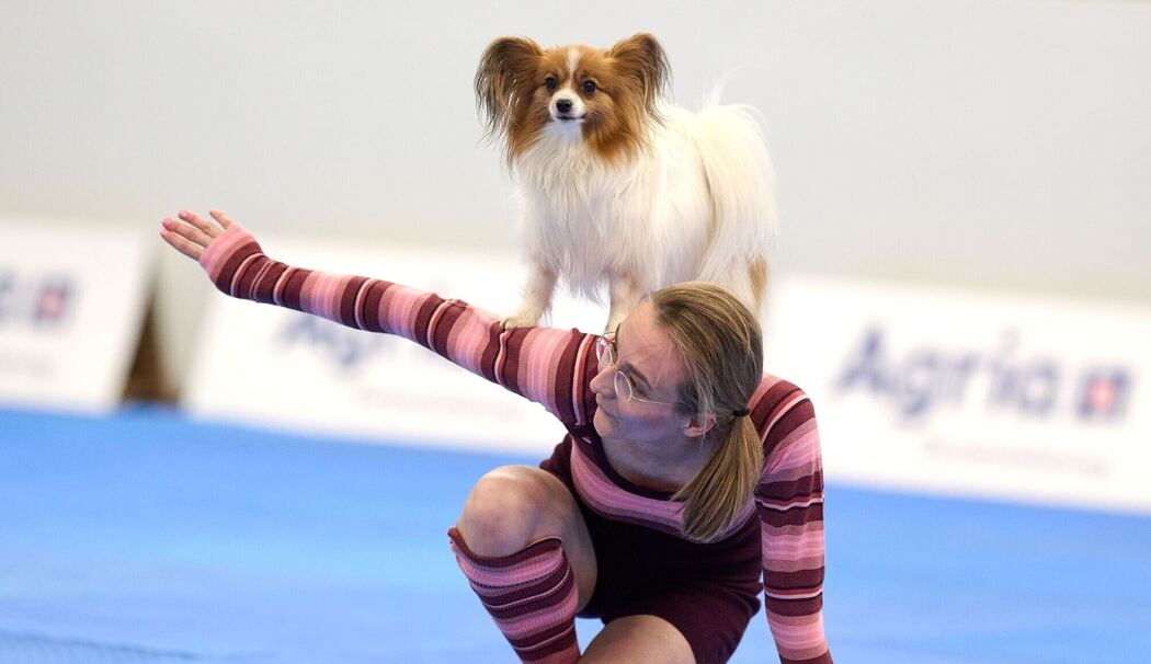 Meisterschaft im Dog Dancing auf Messe «Hund & Pferd»