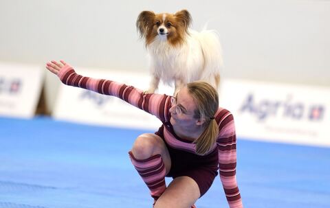 Meisterschaft im Dog Dancing auf Messe «Hund &amp; Pferd»