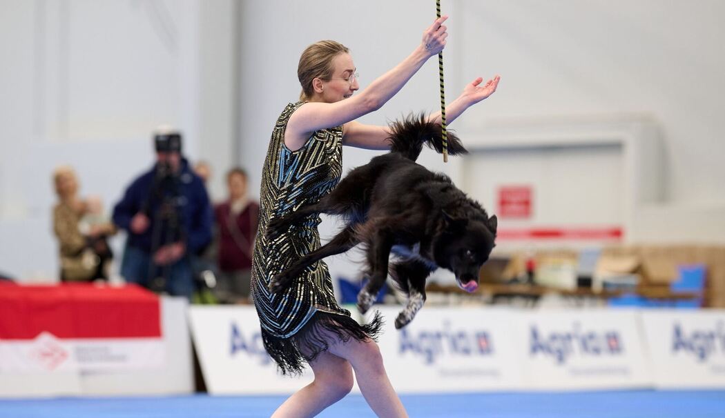 Meisterschaft im Dog Dancing auf Messe «Hund & Pferd»