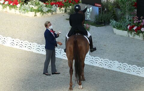 «Blut-Regel» im Pferdesport