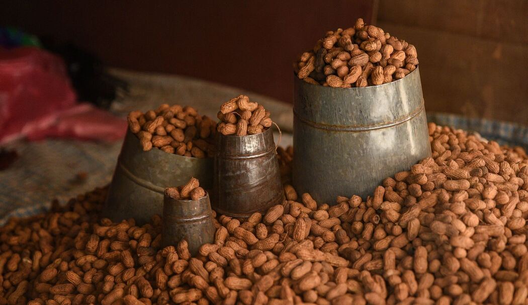 Geröstete Erdnüsse