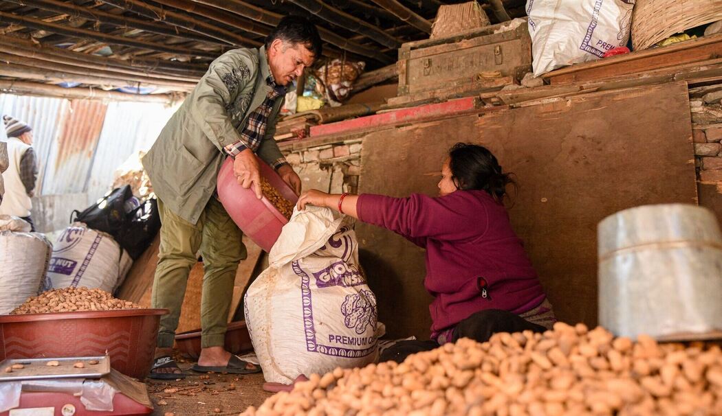 Geröstete Erdnüsse