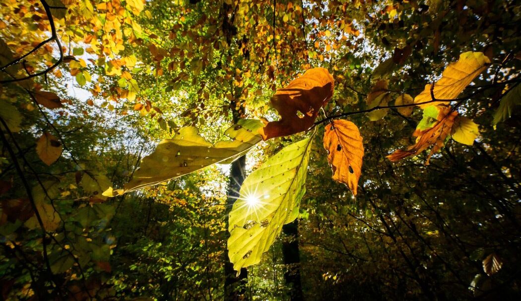 Sonniges Wetter in Niedersachsen