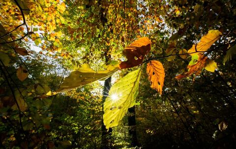 Sonniges Wetter in Niedersachsen