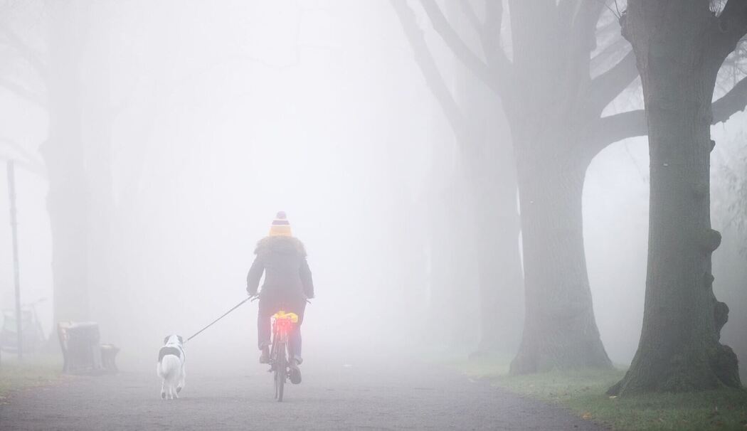 Herbst in Niedersachsen
