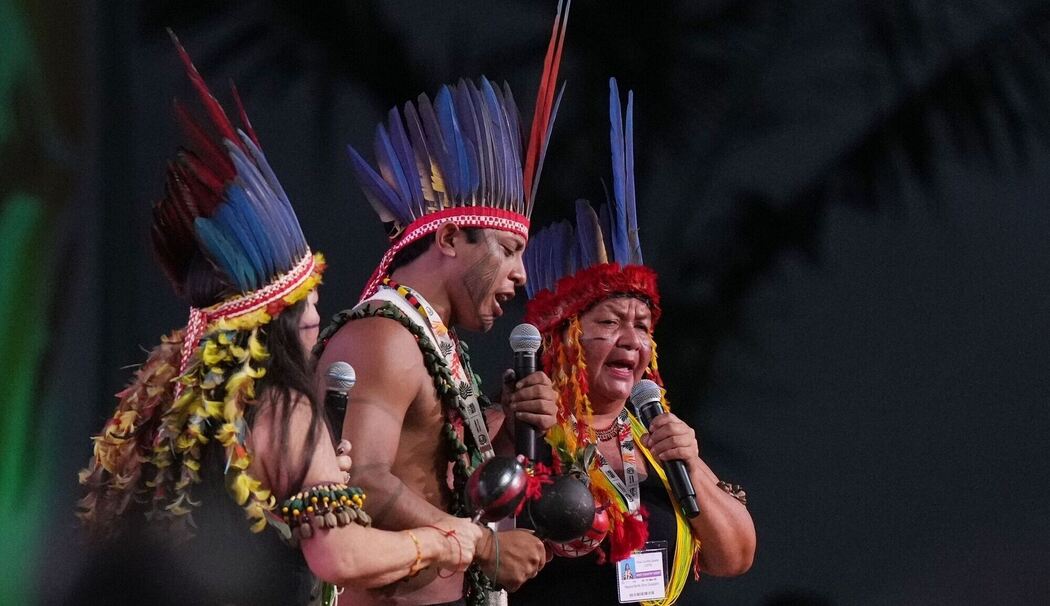 Weltklimakonferenz COP30