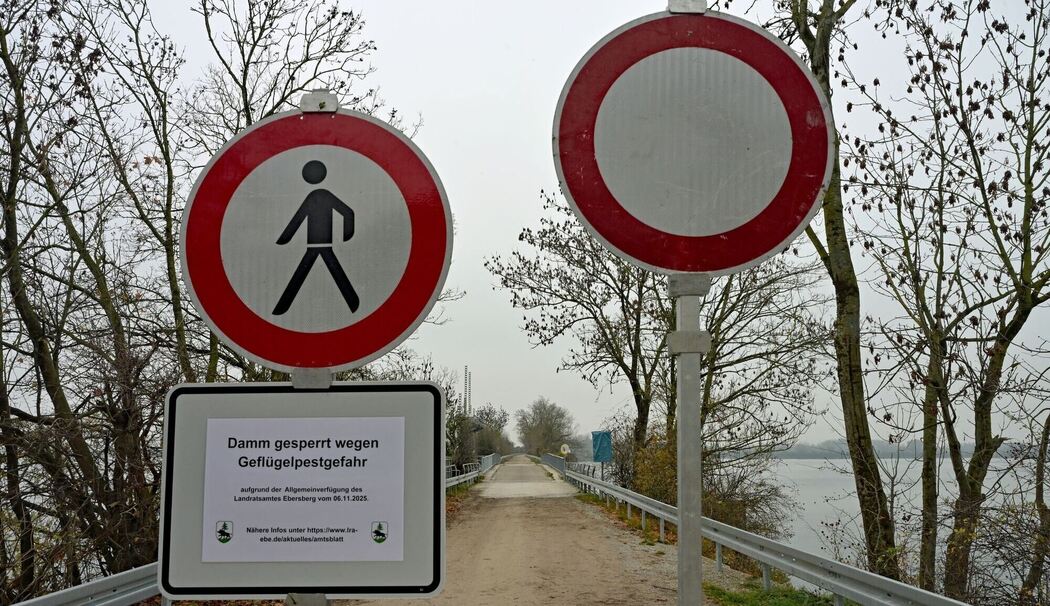 Wegsperre für Spaziergänger nach Vogelgrippe-Verdacht