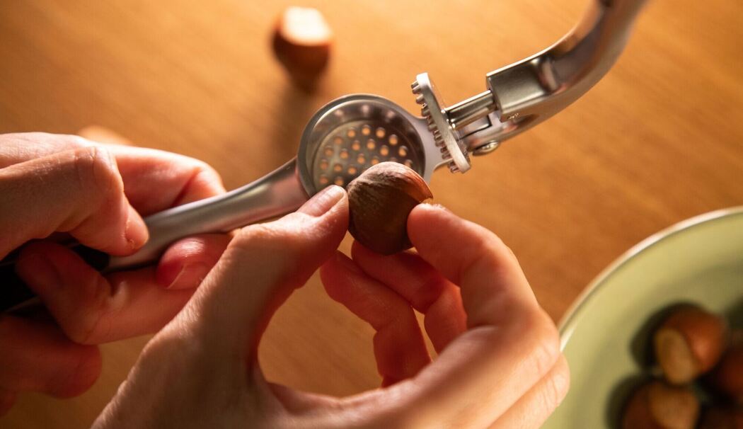 Haselnuss wird in die Knoblauchpresse gelegt Haselnuss wird in die Knoblauchpresse gelegt