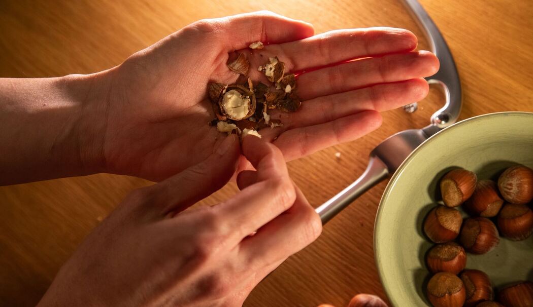 Geschälte Haselnuss liegt auf einer Hand Geschälte Haselnuss liegt auf einer Hand
